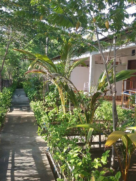 Putri Homestay غيلي مينو المظهر الخارجي الصورة